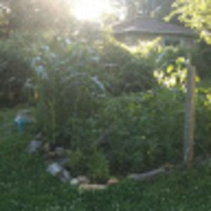 Meet your Posher, Jack